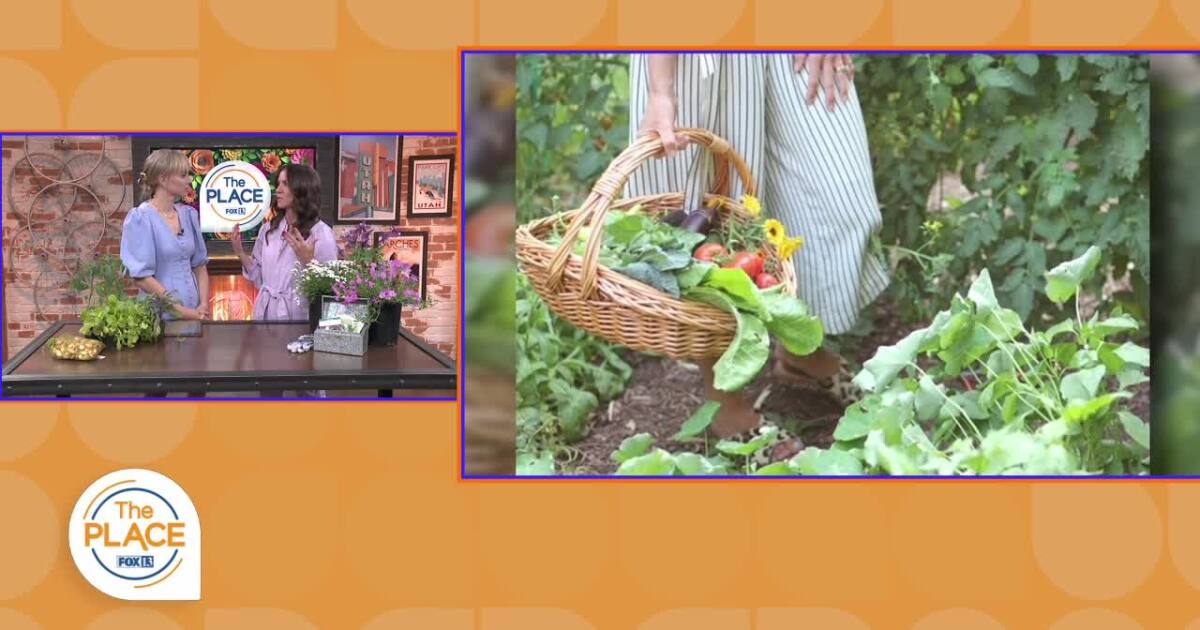 Easy ways to start your green thumb