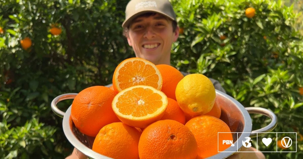 Vegan Homesteader Shows How to Grow Food Sustainably