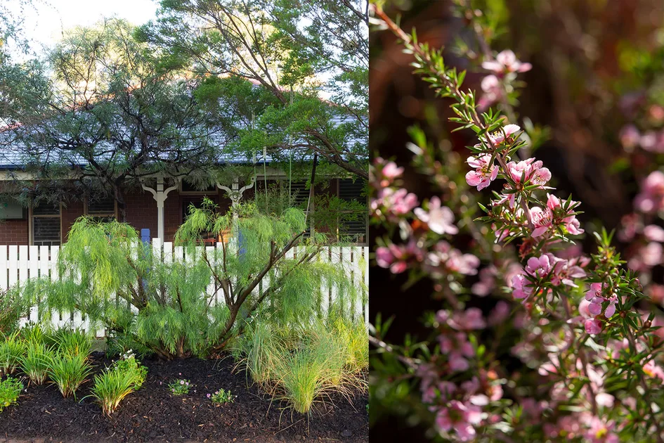 Charlie Albone’s Guide to Native Verge Gardens