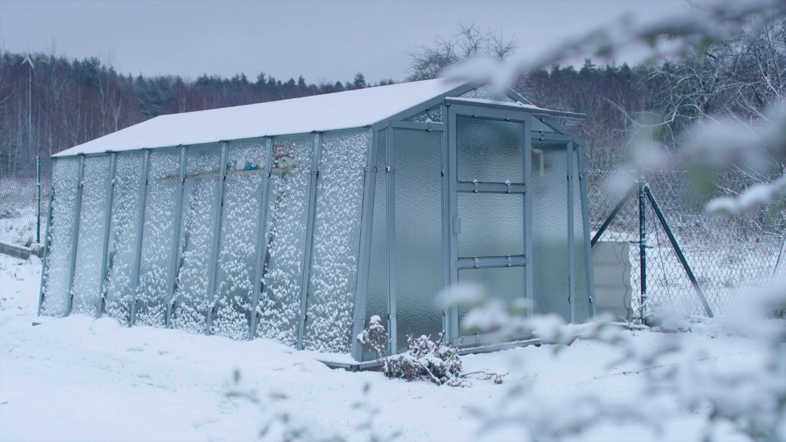 How to use a greenhouse in winter: 11 ways to make the most of yours