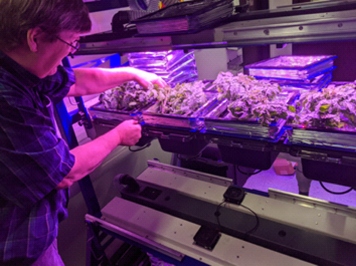 A Novel Approach to Growing Gardens in Space
