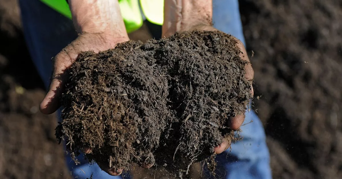 Experts reveal £6 gardening hack beginners should know to ‘help plants thrive’