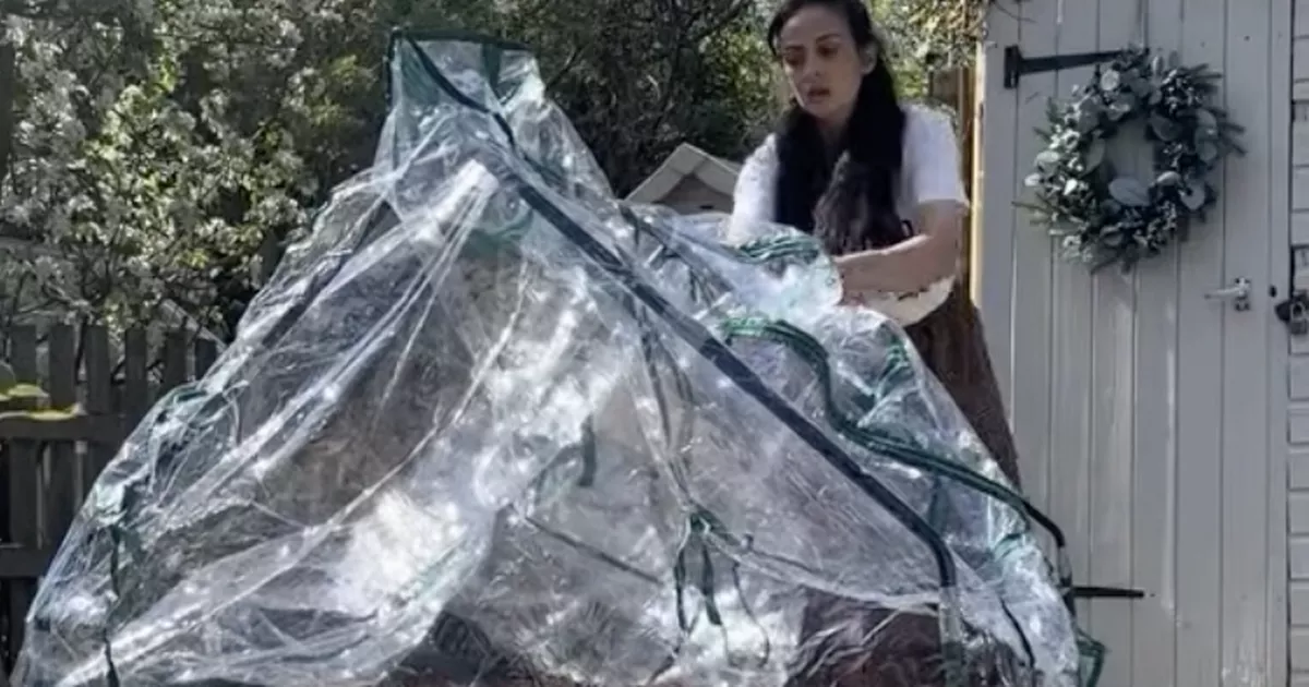 ‘I didn’t want to spend hundreds on a greenhouse so I made one for ยฃ30’