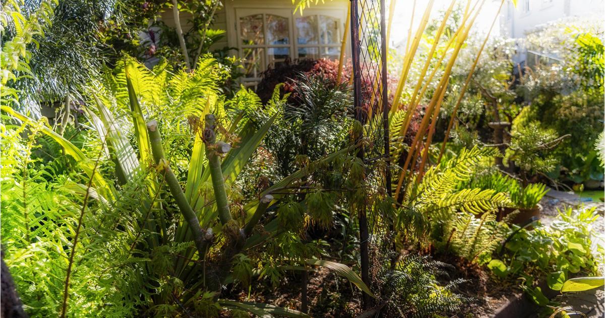 Gardening: Some of the best small gardens to visit this summer