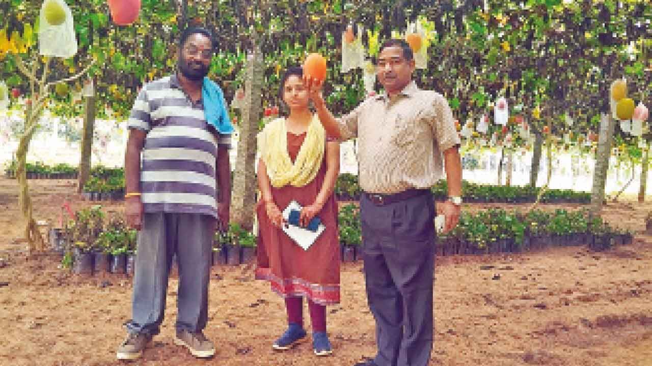 Fresh Rangareddy produce floods Hyderabad markets