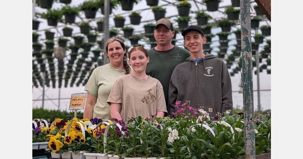 Hook Greenhouse takes the slow and steady route to growth