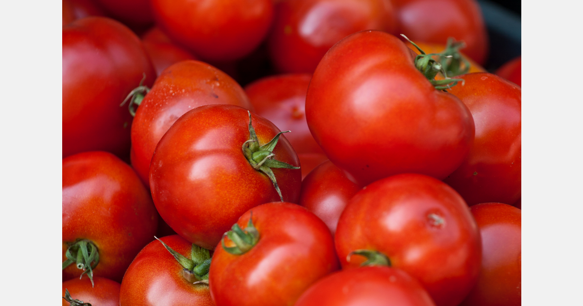 Creating a green lifestyle with remote growing, vegetable boxes