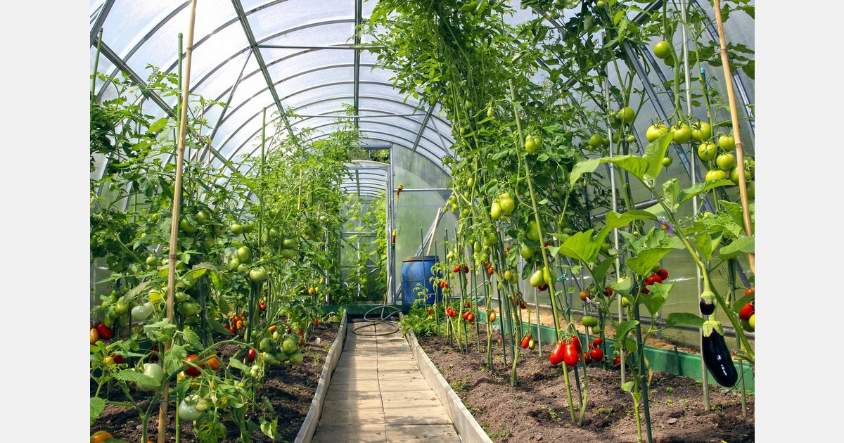Jammu and Kashmir launch new poly greenhouse at Horticulture Department headquarters