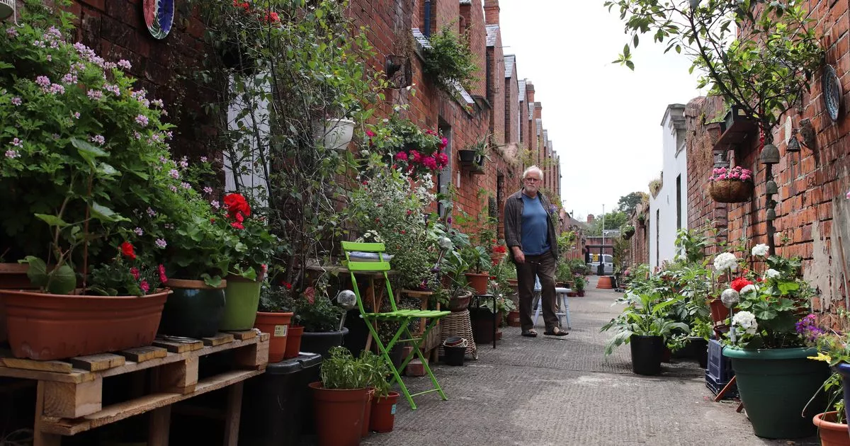 Watch: South Belfast ‘garden alley’ features on RTE and BBC gardening show with Diarmuid Gavin