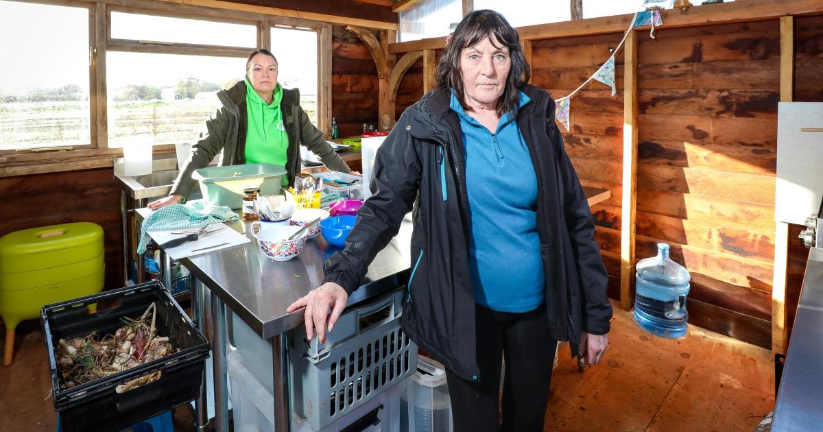 Vandals target Growing Local’s Southside Farm in Hereford