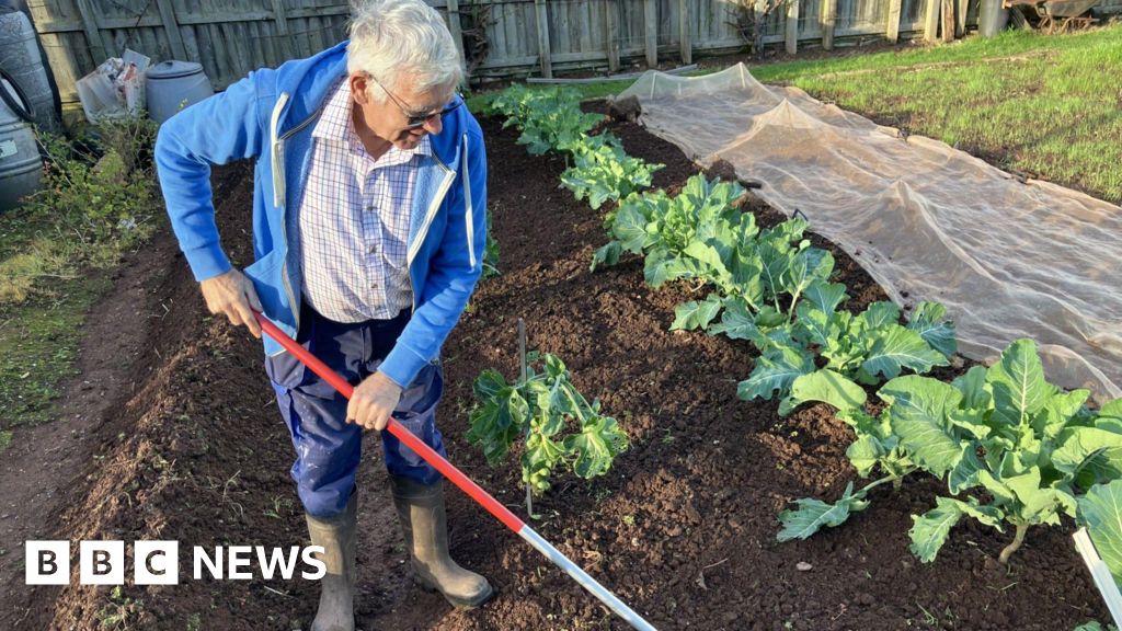 Growing crops in Paignton allotment ‘good for the soul’