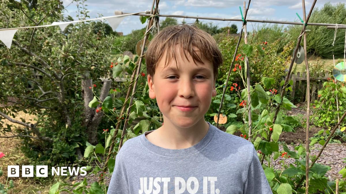 Green-fingered Gloucestershire pupils turn £5 veg loan into profit