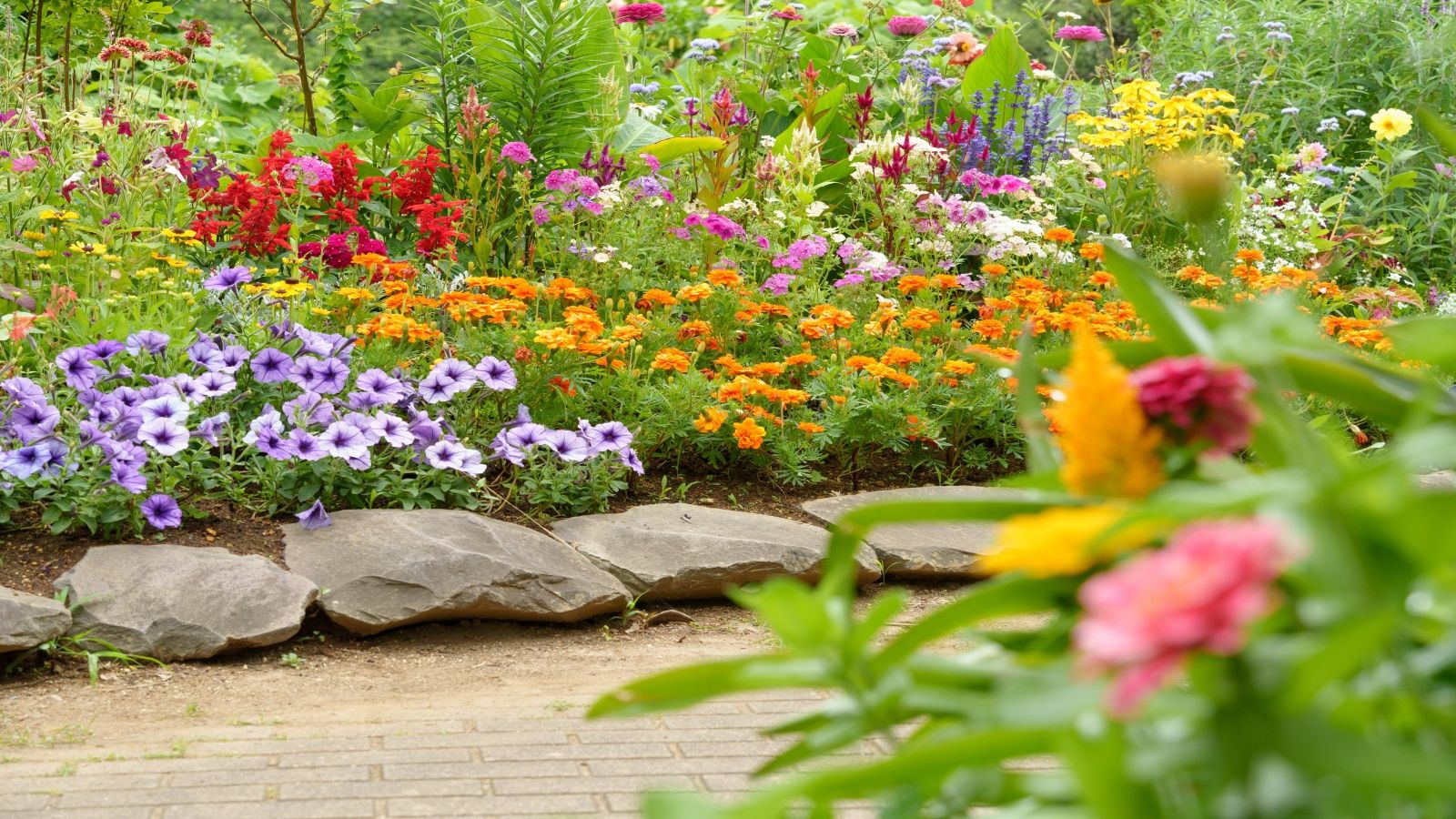 Gardening mistakes to avoid in June: expert advice