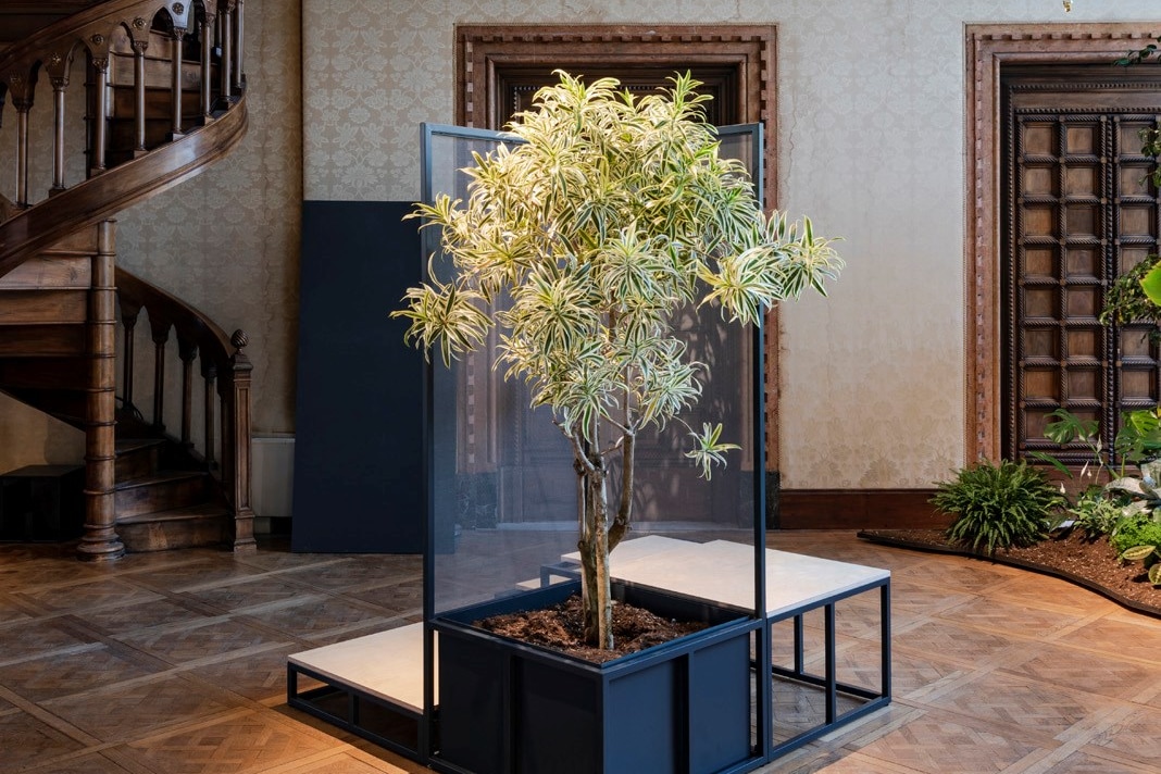 The Venice Pavilion Using Gardening as a Metaphor for Decolonisation