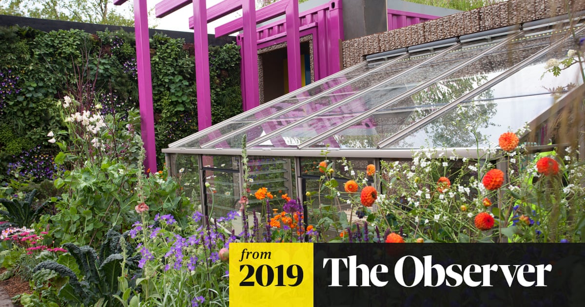 Hi-tech gardens bloom at London’s Chelsea Flower Show | Chelsea flower show