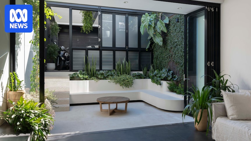 How to build a flourishing garden in a courtyard or smaller space