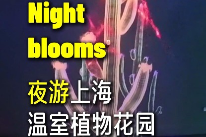 Night blooms in Shanghai greenhouse garden