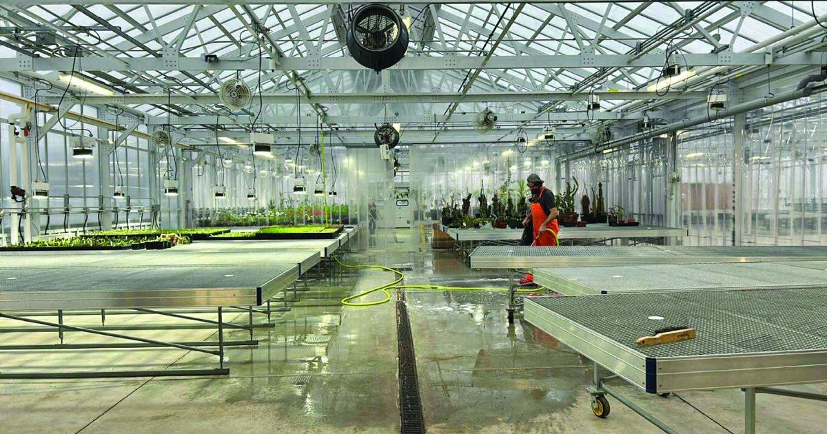 Waterfall part of conservatory oasis | Local News