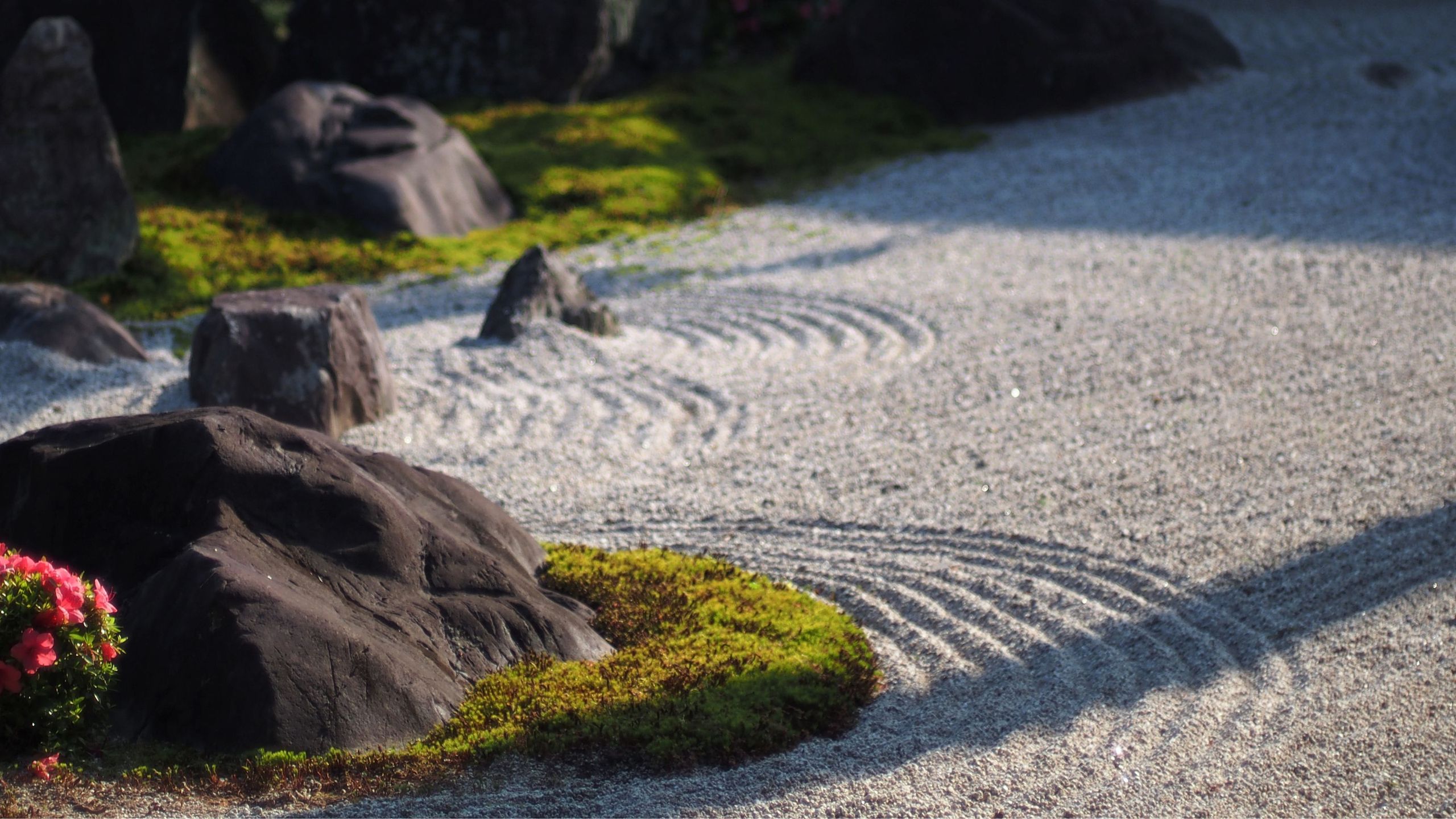 Zen garden ideas on a budget – 5 simple design tips