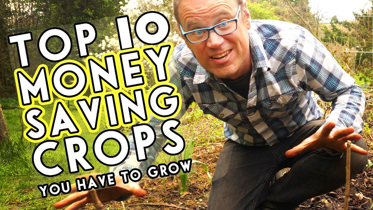 High Value Crops | Almanac.com