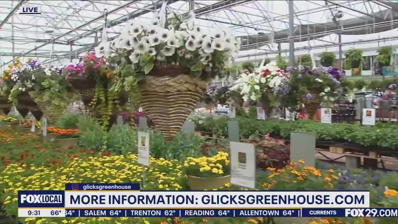 Gardening At Glick’s Greenhouse | FOX 29 Philadelphia