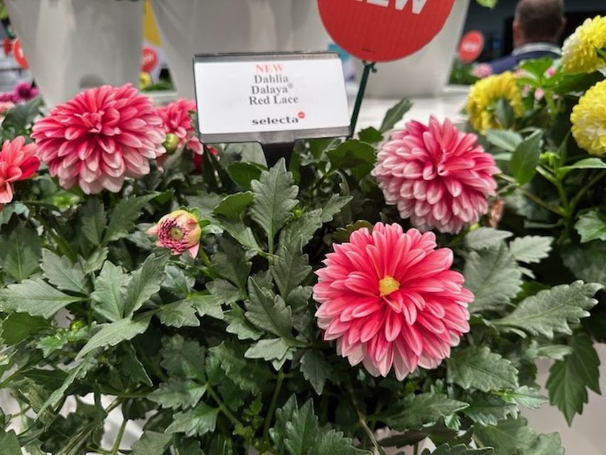 15 Products That Wowed Garden Retailers During Cultivate’25