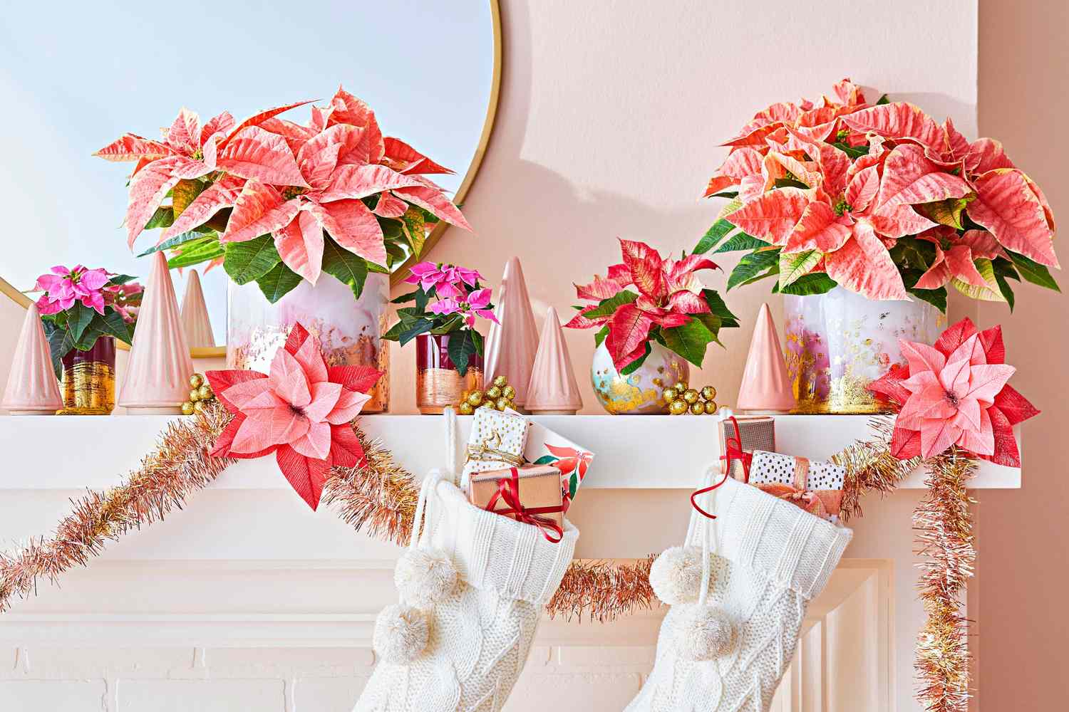 Fresh and Festive Ways to Display Poinsettias