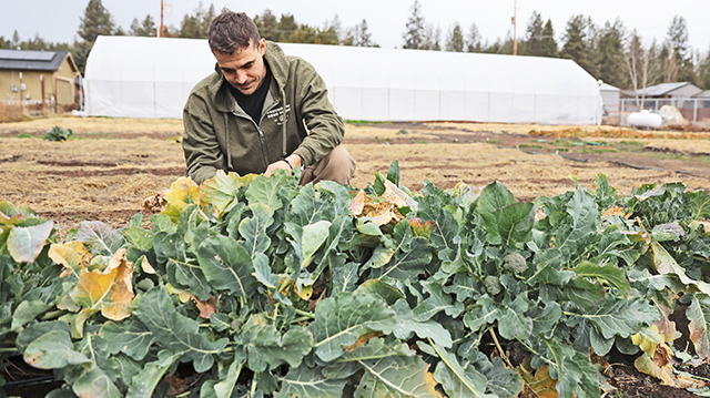 Bend nonprofit helps residents grow food, and give it back