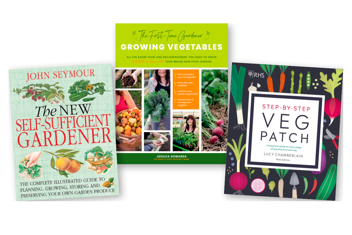 The best vegetable gardening books to buy