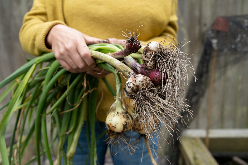 Vegetables grown near chemical plant found to contain carcinogenic ‘forever chemical’
