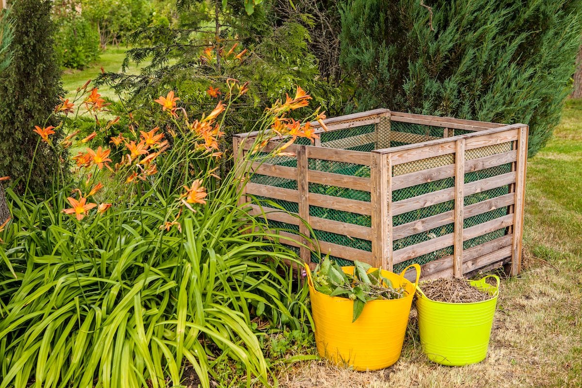12 Never-Skip Gardening Tips From Master Gardeners