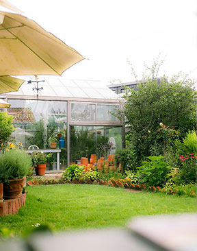 Index Digital | Tend It Like Beckham – Top Tips On Growing Your Own Veg