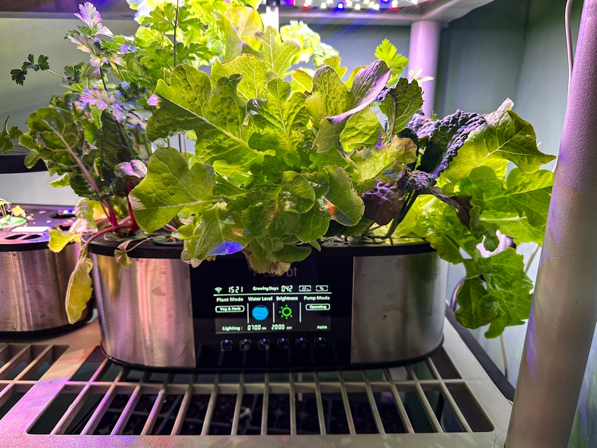 LetPot LPH-Max 21 Pods Hydroponics Growing System review
