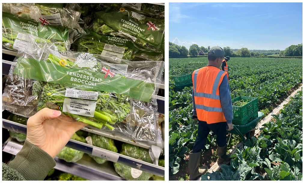 M&S launches Plan A projects to boost UK-grown fruit and veg