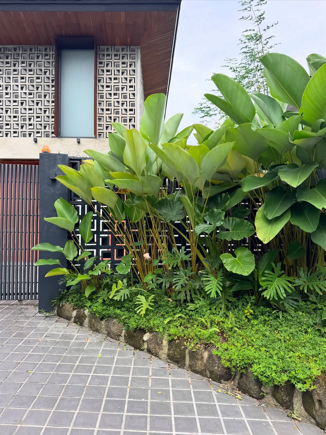 25 Tropical Landscape Ideas That Make Ordinary Gardens Feel Like Getaways