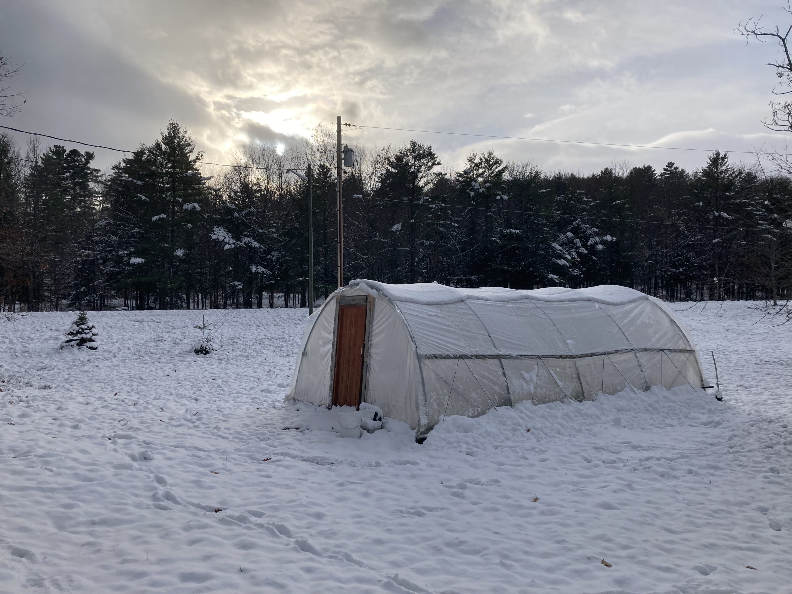 How to harvest fresh vegetables all winter in the Adirondacks
