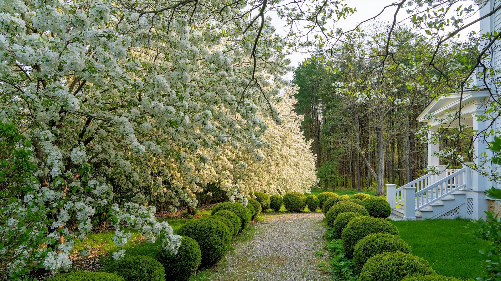 Garden Diaries: Pom Shillingford’s New England flower garden