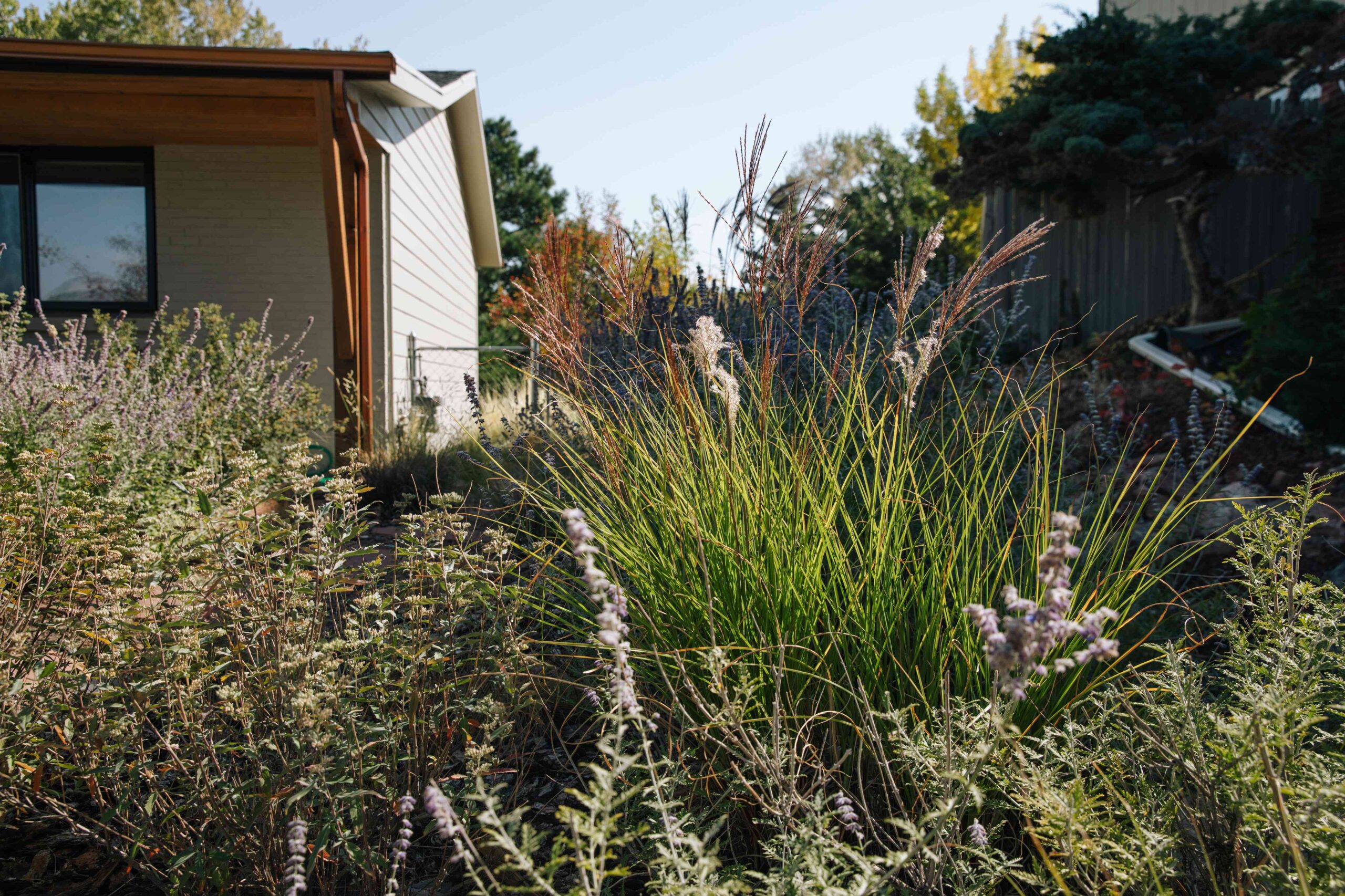 5 Low-Maintenance Landscaping Ideas for Small Front Yards