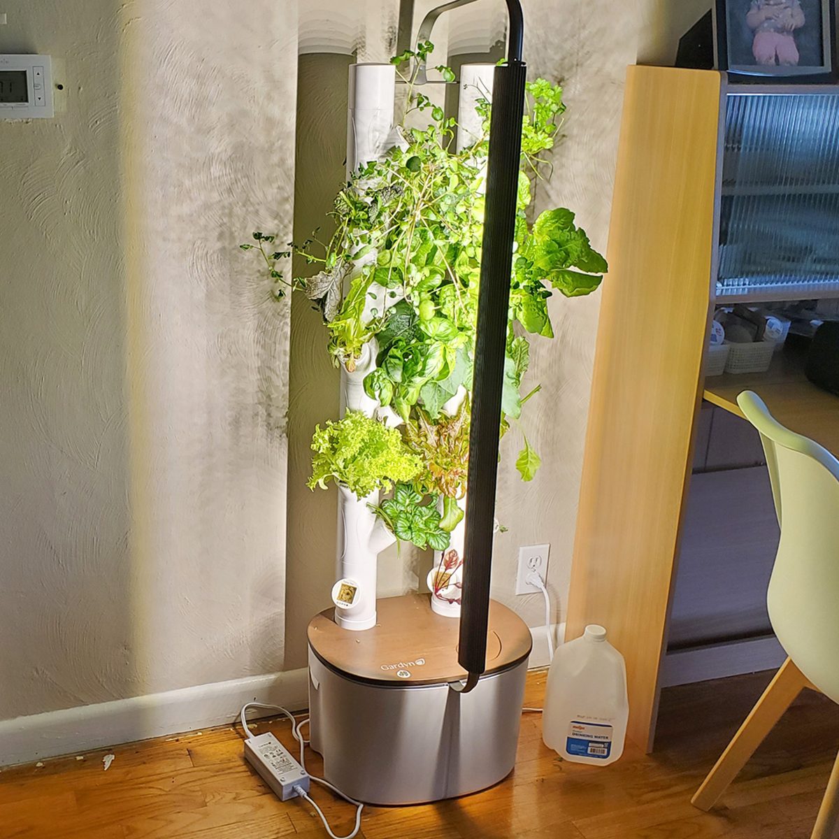 A Goof-Proof Way to Grow Produce Indoors [2025]