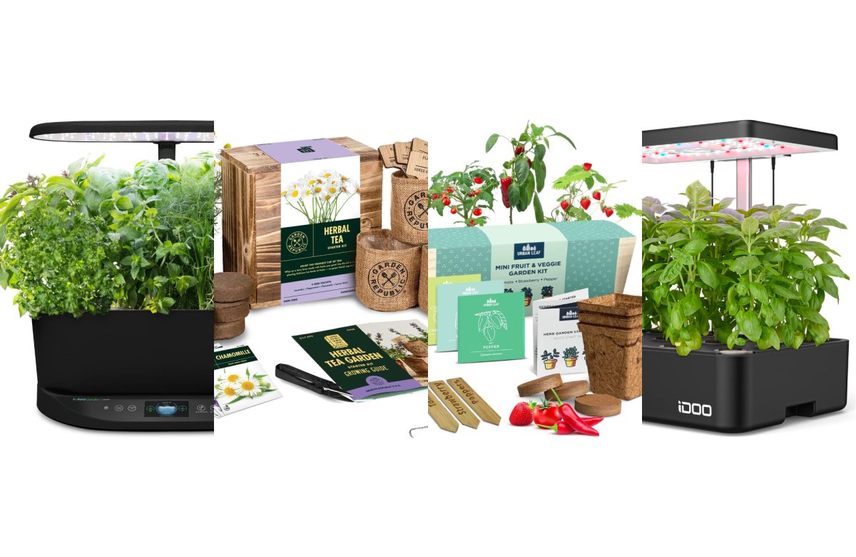 The best indoor herb gardens of 2024