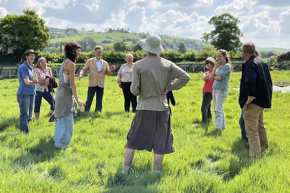 Council owned land to be used to grow vegetables in new pilot