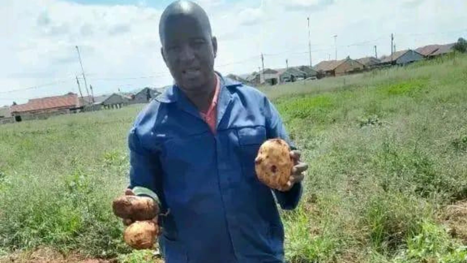 Trash to triumph: Sukazi transforms wasteland into farmland