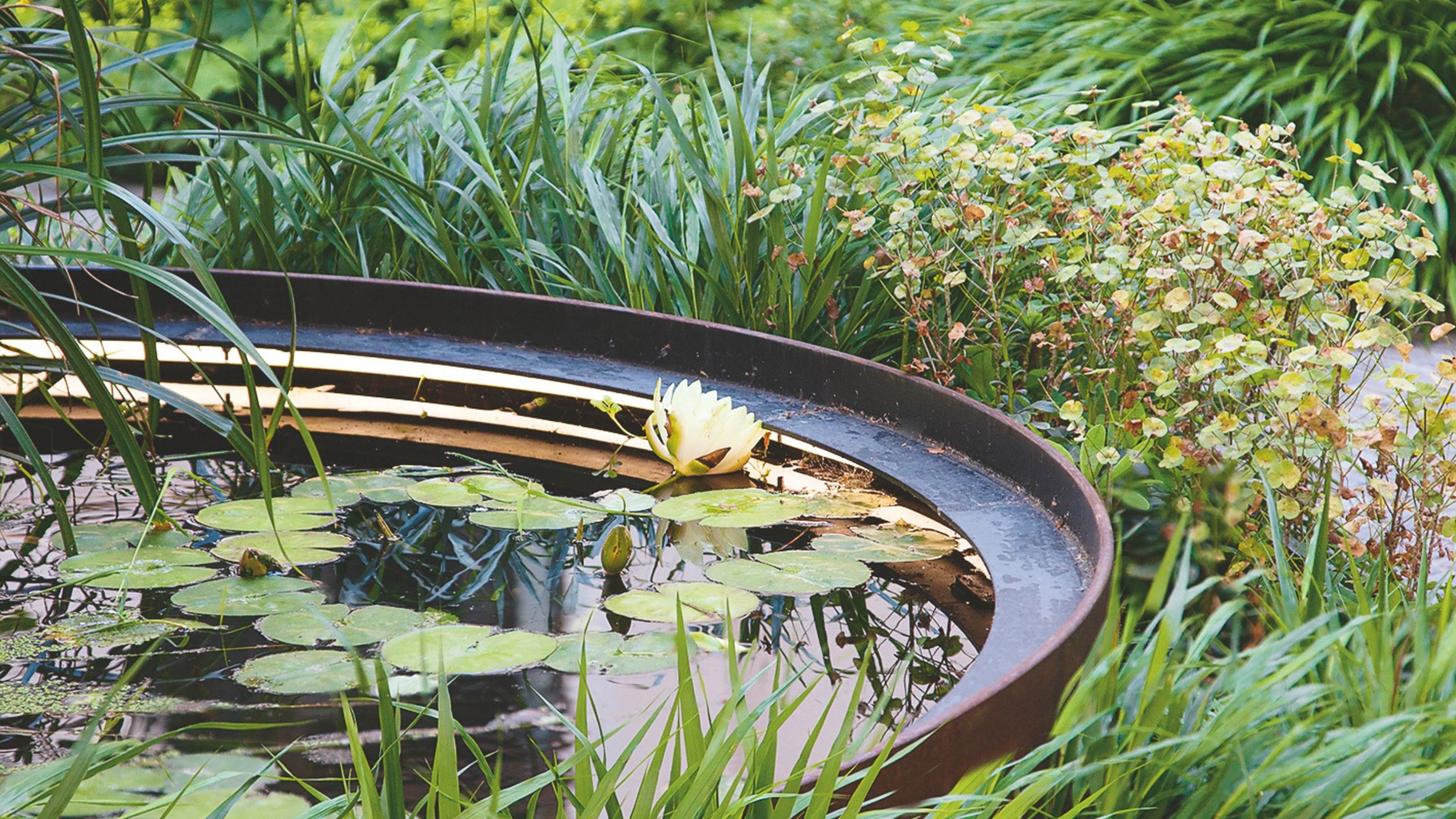 Zen garden ideas – try the calming Japanese garden trend
