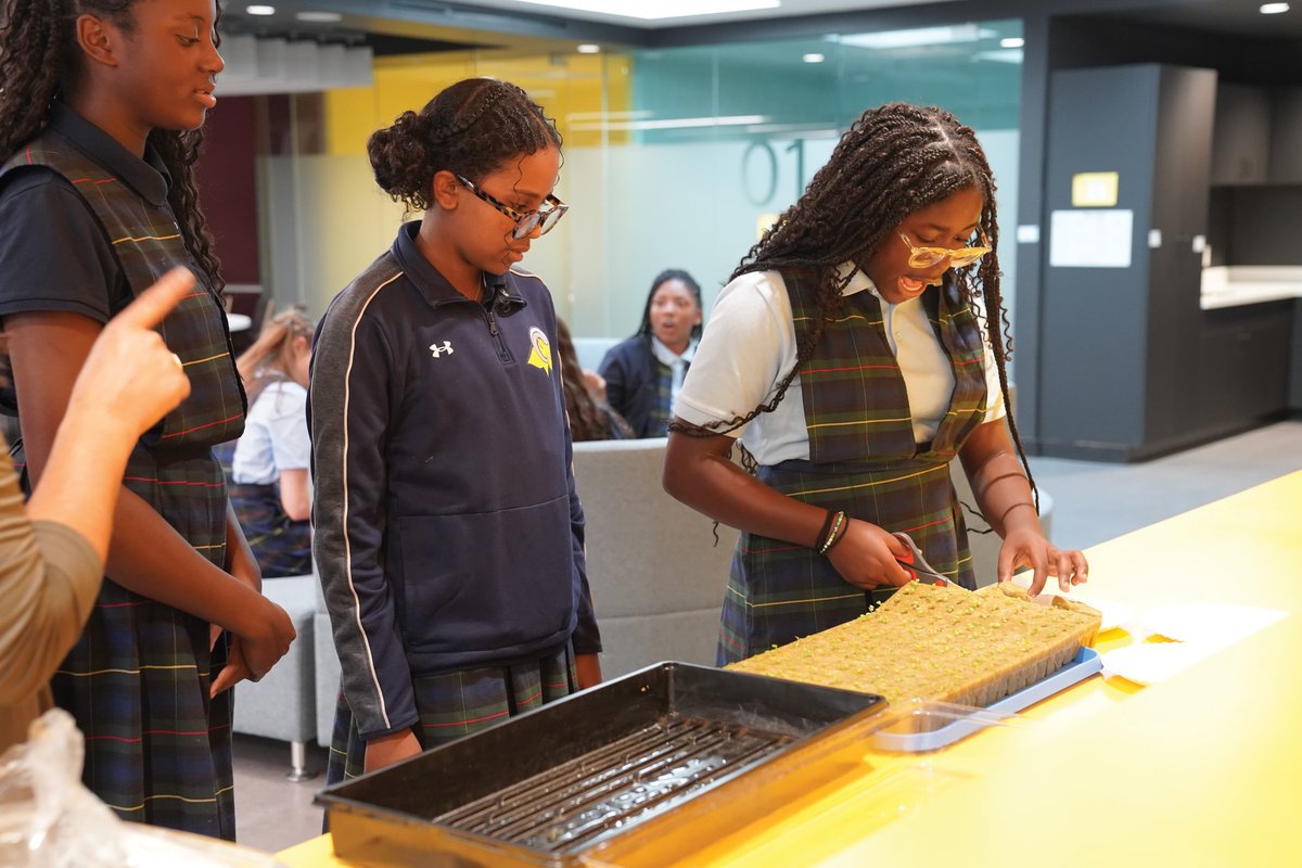 St. Mary German Village launches hydroponic gardens project