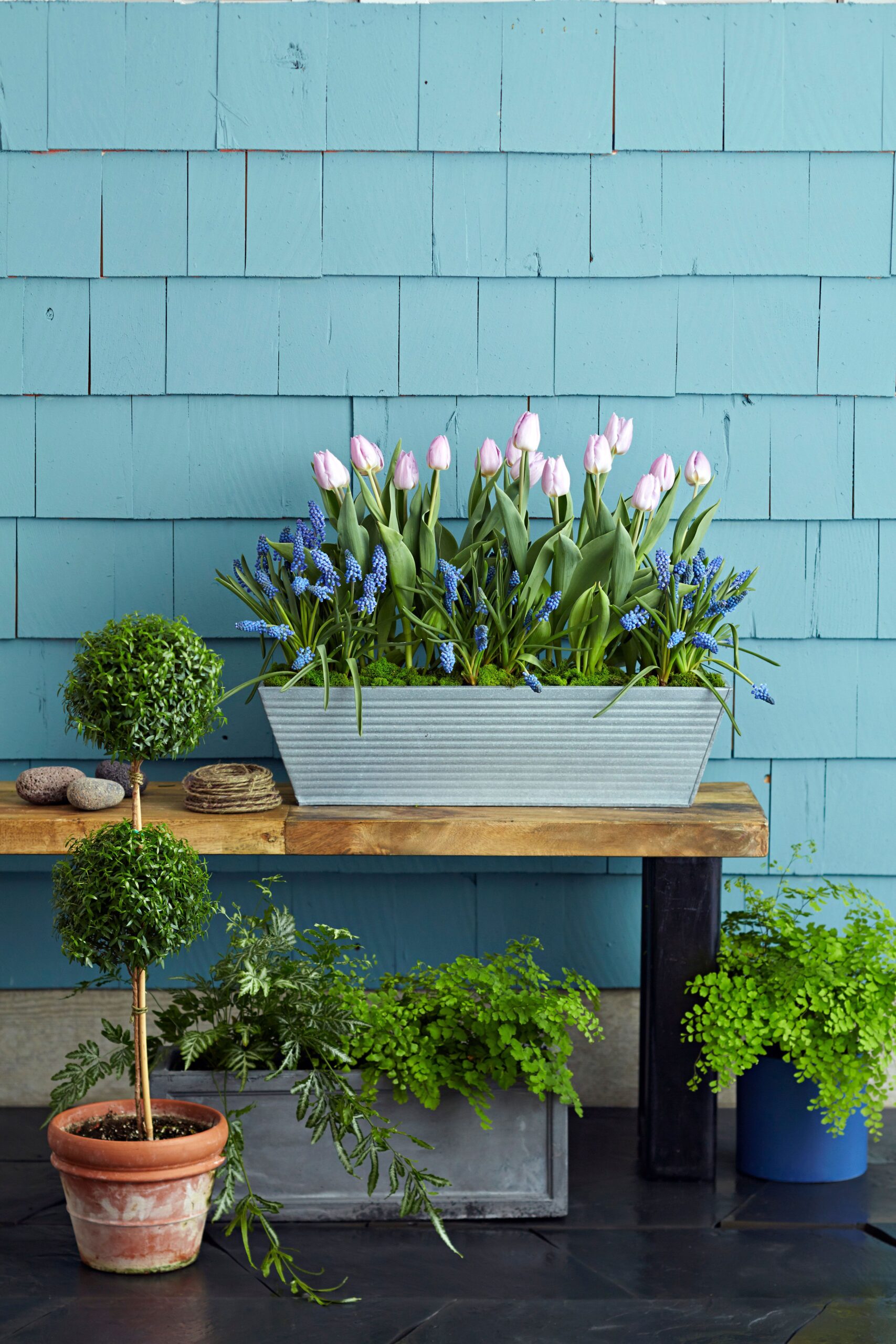 11 Bulb Garden Design Ideas to Show Off Spectacular Flowers