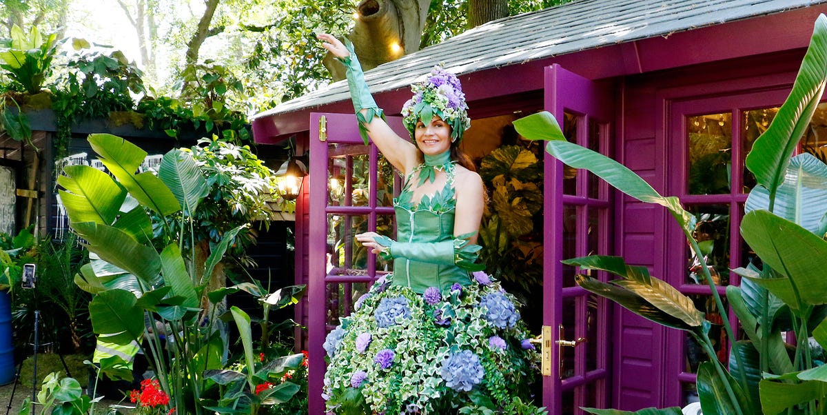 Bold Ideas for Indoor Gardens