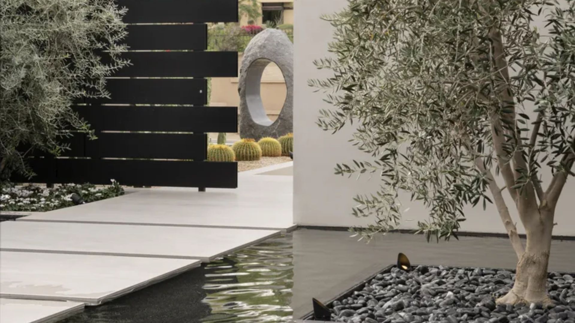 8 Water Garden Ideas That Will Elevate Your Backyard