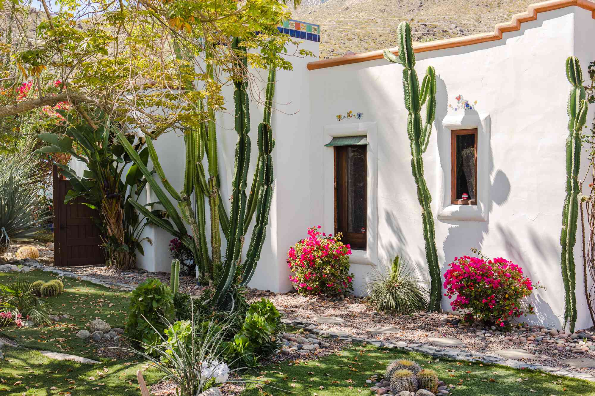 24 Stunning Desert Landscaping Ideas Perfect for the Heat