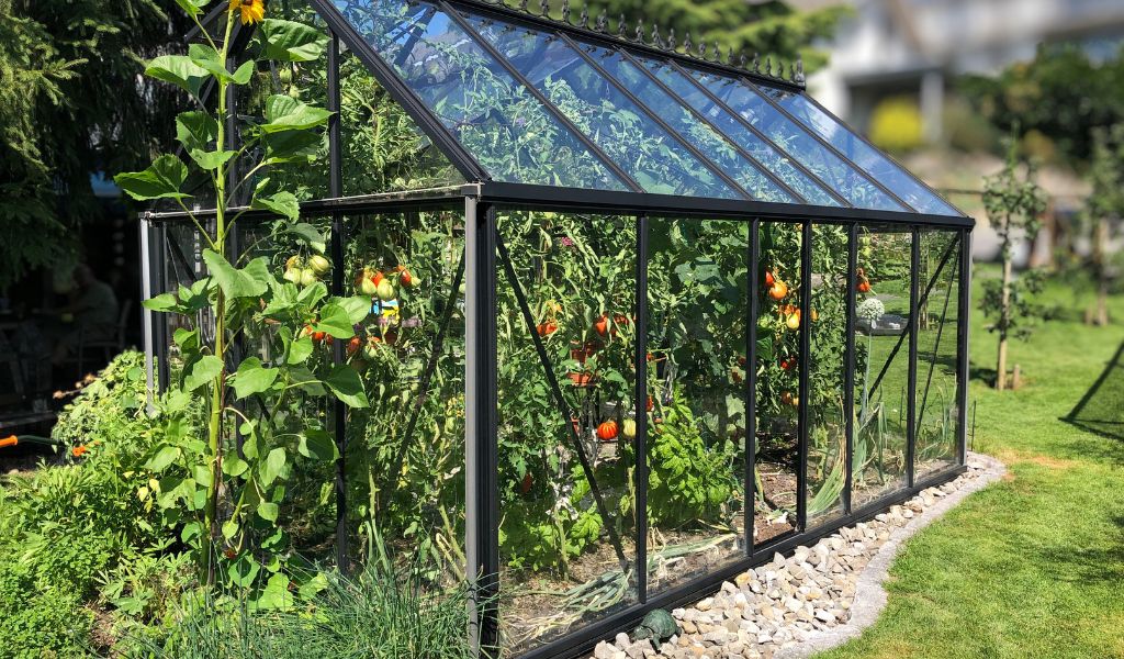 Why/How Does Costco Have Greenhouses?