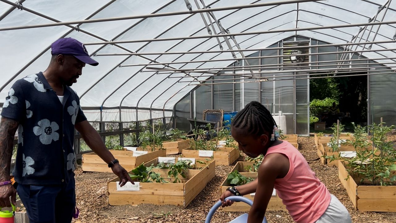 Cleveland Fatherhood greenhouse to celebrate first harvest